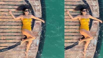 స్విమ్ సూట్ లో హాట్ షో చేసిన ప్రియాంక చోప్రా.. దుబయ్ లో  వీకెండ్ ను ఫుల్ గా ఎంజాయ్ చేసిన బ్యూటీ.. 