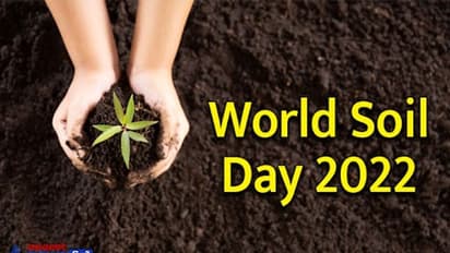World Soil Day 2022: 60 सालों में धरती की मिट्टी का हो जाएगा विनाश, कैसे बचेगा जीवन ?