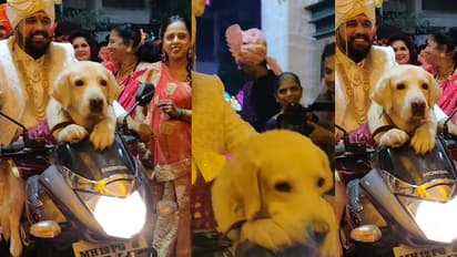 ಶ್ವಾನದೊಂದಿಗೆ ಹೊಸ ಜೀವನಕ್ಕೆ ಎಂಟ್ರಿ ಕೊಟ್ಟ ಮದುಮಗ..!