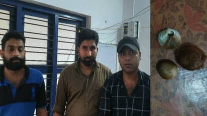 കണ്ണൂരിൽ കസ്തൂരി മാനിന്റെ കസ്തൂരിയുമായി മൂന്ന് പേർ പിടിയിൽ