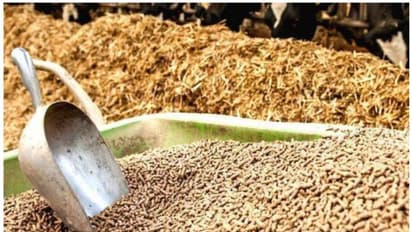 Mysuru : ಬೀಜ - ರಸಗೊಬ್ಬರ ಕಂಪನಿಗಳು ಬ್ರಿಟಿಷರು ಇದ್ದಂತೆ