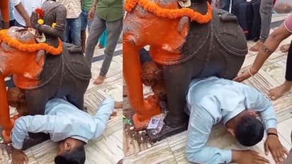 ದೇವಸ್ಥಾನಕ್ಕೆ ಹೋಗಿ ಆನೆ ಕಾಲಡಿ ಸಿಲುಕಿದ ಭಕ್ತ... ಆತನ ಪೇಚಾಟ ನೋಡಿ