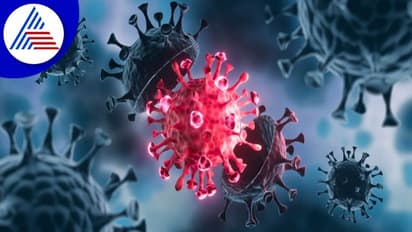 Canada Faces Tridemic: ಕೋವಿಡ್ ಬೆನ್ನಲ್ಲೇ ಕೆನಡಾದಲ್ಲಿ ಮತ್ತೊಂದು ಡೇಂಜರಸ್ ಸೋಂಕು !