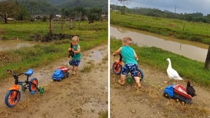 'അച്ചോടാ... വാവേ...'; ഇത് കണ്ടാല് ആരുടെ മനസാണ് നിറയാതിരിക്കുക!