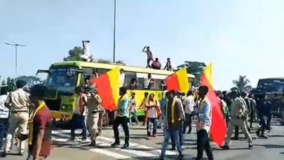 ಬೆಳಗಾವಿ: ತಕ್ಷಣ ಗಡಿ ಉಸ್ತುವಾರಿ ಸಚಿವರ ನೇಮಿಸಿ