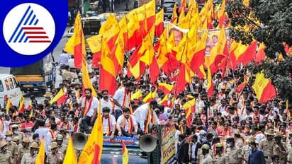 ಮಹಾ ಕಿಡಿಗೆ ಬೆಳಗಾವಿ ಗಡಿ ಉದ್ವಿಗ್ನ: ರಾಜಕಾರಣಿಗಳ ವಿರುದ್ಧ ಕರವೇ ಕೆಂಡ