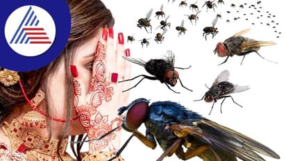 ಯಪ್ಪಾ..ಅತ್ತೆ ಮನೇಲಿ ಸಿಕ್ಕಾಪಟ್ಟೆ ನೊಣದ ಕಾಟ, ತವರು ಮನೆಗೆ ನವ ವಧು ರಿಟರ್ನ್ !