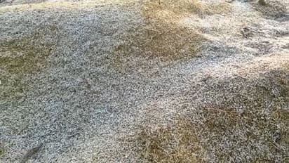 राजस्थान में मौसम के ताजा हाल: जमने लगी सर्दी, इस महीने 0 डिग्री हो जाएगा तापमान, ओले की बारिश ने गिराया पारा