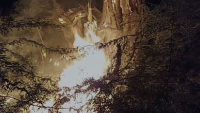 रहस्य से कम नहीं यह मामलाः सालों पुराने हरे भरे बरगद के पेड़ मे अचानक लग गई आग, लोगों का मानना अशुभ संकेत