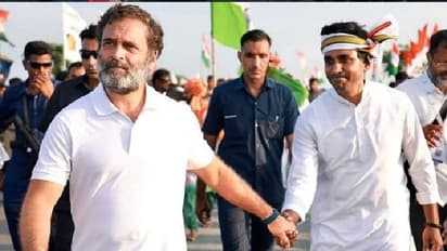 राहुल गांधी की भारत जोड़ो यात्रा में 250 कारीगर हर दिन बनाते हैं 3 से 4 हजार लोगों का खाना, साथ चलती है रसोई