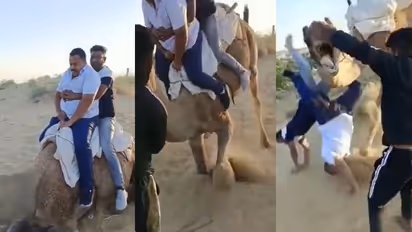 ஒட்டக சவாரியின் போது தலைக்குப்புற விழுந்த இருவர்… இணையத்தில் வைரலாகும் வீடியோ!!