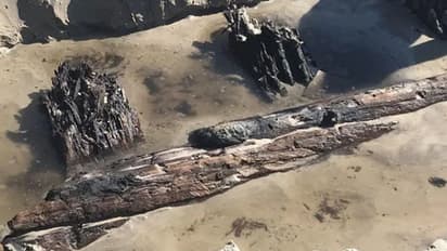 കൊടുങ്കാറ്റിന് പിന്നാലെ തീരത്ത് പ്രത്യക്ഷപ്പെട്ട "അജ്ഞാത വസ്തു" കണ്ട് ഞെട്ടി നാട്ടുകാരും പൊലീസും