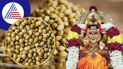 Coriander Remedies: ನಿಮ್ ದುನಿಯಾದ ಅದೃಷ್ಟವನ್ನೇ ಬದಲಿಸುತ್ತೆ ಧನಿಯಾ !