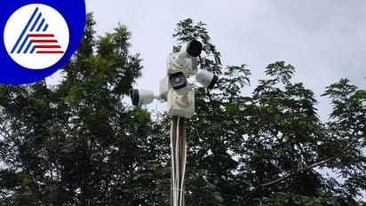 Davanagere: ಕಳ್ಳಕಾಕರನ್ನು ನಿಯಂತ್ರಿಸಲು ಅಡಿಕೆ ತೋಟಕ್ಕೆ ಸಿಸಿಟಿವಿ: ರೈತನ ಹೊಸ ಉಪಾಯ