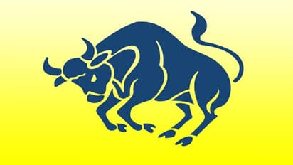 ಯುಗಾದಿ ರಾಶಿ ಫಲ: ವೃಷಭ ರಾಶಿಗೆ ಧನಲಾಭ, ಏಪ್ರಿಲ್‌ನಿಂದ  ಸ್ವಲ್ಪ ಸಮಸ್ಯೆ  