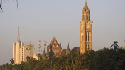 Around 20,000 mangrove trees to be cut for Mumbai-Ahmedabad bullet train project; Bombay HC gives go ahead