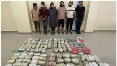 യുഎഇയില് വന് മയക്കുമരുന്ന് വേട്ട; നൂറ് കിലോയിലേറെ ഹാഷിഷും ലഹരിമരുന്നുമായി പ്രവാസികള് പിടിയില്