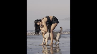 సాగరతీరంలో తడి అందాలు ఆరబోస్తూ.. పెట్స్ తో షాలిని పాండే క్యూట్ ఫోజులు.. 