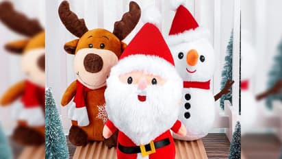 ಮಕ್ಕಳಿಗೆ ಸಿಹಿ ಹಂಚಲು ಹೋದ ಸಾಂತಾಗೆ 6,000 ರೂಪಾಯಿ ಫೈನ್!