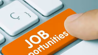 Thousands of unemployed Indian IT professionals scramble for options to stay in the US: Report