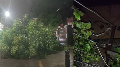 சென்னையில் கோரத்தாண்டவம் ஆடிய மாண்டஸ் புயல்.. வேரோடு சாய்ந்த மரங்கள்.. பல இடங்களில் மின்சாரம் துண்டிப்பு..!