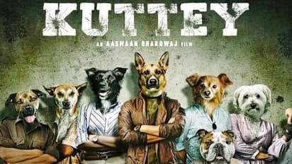 Trailer of Arjun Kapoor and Tabu starrer Kuttey to be revealed on December 15 - READ on to know