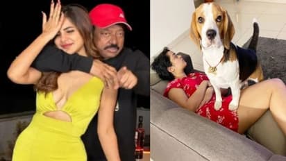 కుక్కతో పోల్చుకున్న రామ్ గోపాల్ వర్మ.. సరిగ్గా అలాగే చేశావంటూ నెటిజన్ల కామెంట్స్!