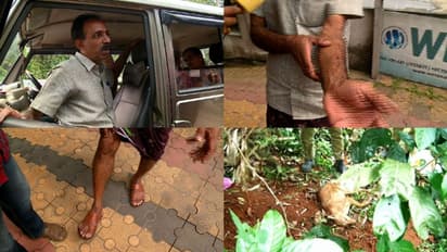 കുറുനരി ആക്രമിച്ചു; മുണ്ടക്കയം പഞ്ചായത്തംഗത്തിന് ദേഹമാസകലം പരിക്ക്, മൃഗത്തിന് പേവിഷ ബാധയെന്ന് സംശയം