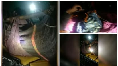 അട്ടപ്പാടിയിൽ ഗർഭിണിയെ ആശുപത്രിയിലെത്തിച്ചത് തുണിയിൽ ചുമന്ന്,ആംബുലൻസ് വൈകിപ്പിച്ചത് മോശം റോഡും കാട്ടാനശല്യവും 