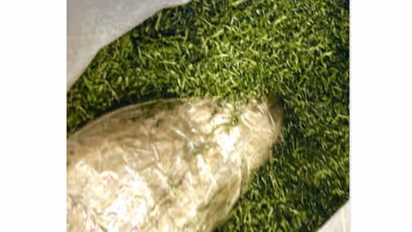 ലഗേജില്‍ കഞ്ചാവുമായി വിമാനത്താവളത്തില്‍ പിടിയിലായ പ്രവാസി യുവതിക്ക് 15 വര്‍ഷം തടവ്