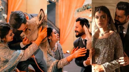 വധുവിന് കഴുതക്കുട്ടിയെ സമ്മാനിച്ച് വരൻ; വിമർശനവുമായി സോഷ്യല്‍ മീഡിയ 