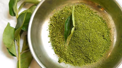 Curry leaves powder : சத்தான கறிவேப்பிலை பொடியை எளிமையாக செய்யலாம் வாங்க!