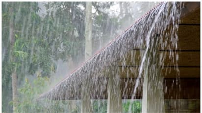 കേരളത്തിൽ കാലവർഷം ഇത്തിരി വൈകിയേക്കും; കേന്ദ്ര കാലാവസ്ഥാ വകുപ്പ് അറിയിപ്പ് ഇങ്ങനെ...