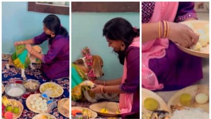 'ബേബി ഷവർ ഫോർ മൈ ക്യൂട്ടീ'; പ്രിയപ്പെട്ട വളർത്തുനായയ്ക്ക് ബേബി ഷവർ; വൈറലായി വീഡിയോ