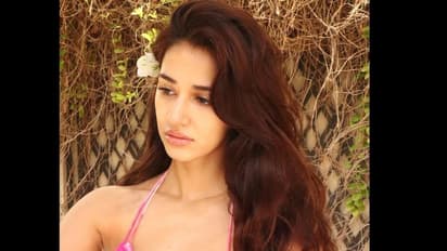 ఉప్పొంగిన పరువాలతో పూరీ హీరోయిన్ అందాల జాతర,  బికినీ లుక్ లో పిచ్చెక్కిస్తున్న దిష పటాని 