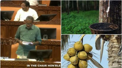 'കാര്ഷികോല്പ്പന്നങ്ങളുടെ വിലത്തകർച്ചക്ക് പ്രധാന കാരണം കേന്ദ്ര നയം, പിന്നെ കാലാവസ്ഥ'; കൃഷിമന്ത്രി പി പ്രസാദ്