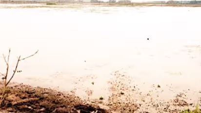 അപ്രതീക്ഷിത മഴയിൽ പാടങ്ങൾ വെള്ളക്കെട്ടിൽ; വിത്ത് അടക്കം പഴുത്ത് പോകുമെന്ന ആശങ്കയില് കര്ഷകര്