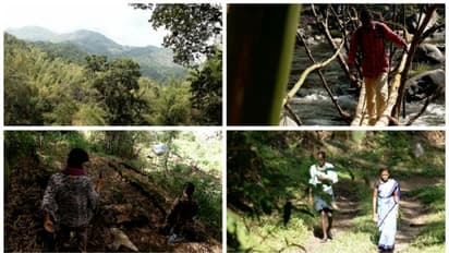 കടുകുമണ്ണക്കാരുടെ യാത്രാദുരിതത്തിന് പഴക്കമേറെ, പുഴ കടക്കാൻ മുള കൊണ്ടുള്ള പാലം മാത്രം,മറ്റ് ഊരുകൾക്കും പ്രശ്നം