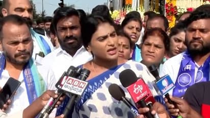 'Bandit's Rashtra Samithi': YS Sharmila slams Telangana CM KCR