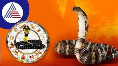 ಕಾಳ ಸರ್ಪ ದೋಷ ಜಾತಕದಲ್ಲಿದ್ದರೆ ಯಾವೆಲ್ಲ ತೊಂದರೆ ಎದುರಾಗುತ್ತದೆ?