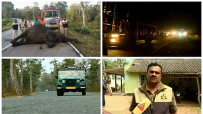 കോഴിക്കോട്-മൈസൂർ ദേശീയപാതയിലെ രാത്രിയാത്ര നിരോധനം; സമയം കൂട്ടാൻ കർണാടക, 12 മണിക്കൂറാക്കാൻ നീക്കം