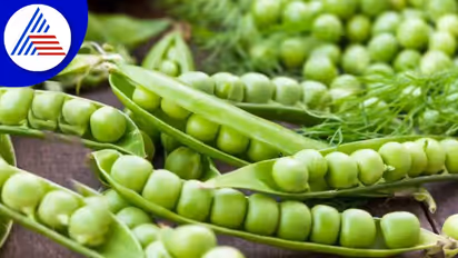 ಬಟಾಣಿ ತೆಗೆದು ಸಿಪ್ಪೆ ಎಸೆಯೋ ಮುನ್ನ ಇರಲಿ ಗಮನ