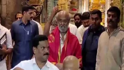 శ్రీవారిని దర్శించుకున్న  సూపర్‌స్టార్‌ రజనీకాంత్‌, సుప్రభాత సేవలో తలైవా.. 