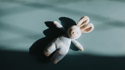 മാതാപിതാക്കൾ വീട്ടിലെത്താൻ വൈകി, പുതുവർഷ രാവിൽ 4 വയസുകാരിയെ പീഡിപ്പിച്ച് അയൽവാസിയായ 28കാരൻ, അറസ്റ്റ്