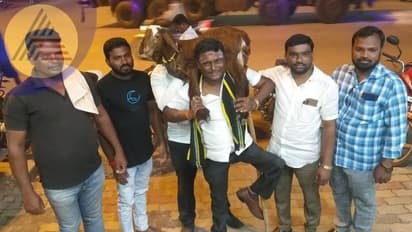 ಗಾಲಿ ಜನಾರ್ದನರೆಡ್ಡಿಗೆ 101 ಟಗರು ಕಾಣಿಕೆ ನೀಡುವುದಾಗಿ ಘೋಷಿಸಿದ ಅಭಿಮಾನಿ!