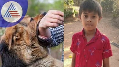 Chikkamagaluru: ನಾಯಿ ಕಡಿತಕ್ಕೆ ಚಿಕಿತ್ಸೆ ಪಡೆಯದೇ ಬಾಲಕ ಸಾವು