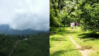 ബഫർസോൺ വിദഗ്ധസമിതി ഇന്ന് യോഗം ചേരില്ല, 20 ന് യോഗം