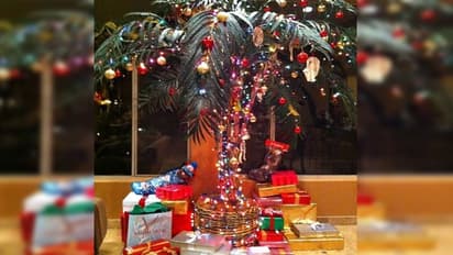 Christmas 2022 सिर्फ 500 से 1000 रुपए में हो जाएगा क्रिसमस ट्री का डेकोरेशन, बस इस तरह से करें चीजों का इस्तेम