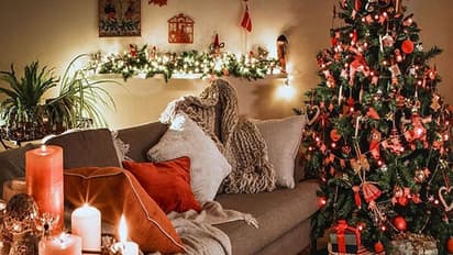 ಕ್ರಿಸ್ಮಸ್ ಇತಿಹಾಸದಿಂದ ಕ್ರಿಸ್ಮಸ್ ಟ್ರೀ ಮಹತ್ವವರೆಗೆ… ಇಲ್ಲಿದೆ ಇಂಟ್ರೆಸ್ಟಿಂಗ್ ಮಾಹಿತಿ