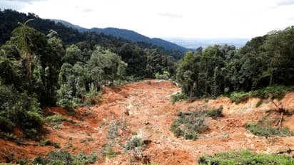 Kerala: Massive landslide hits Idukki; IMD issues orange alert in 2 districts